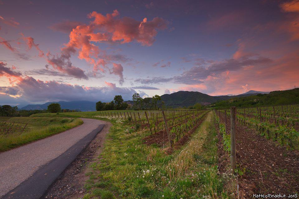 Wine & Lake In Franciacorta Passirano Bagian luar foto