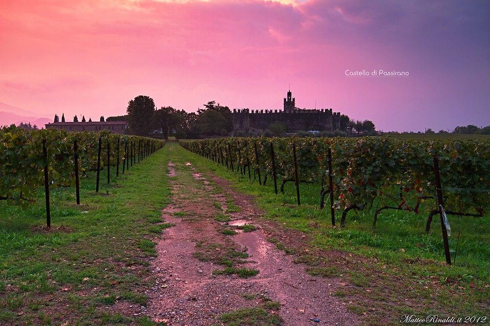 Wine & Lake In Franciacorta Passirano Bagian luar foto